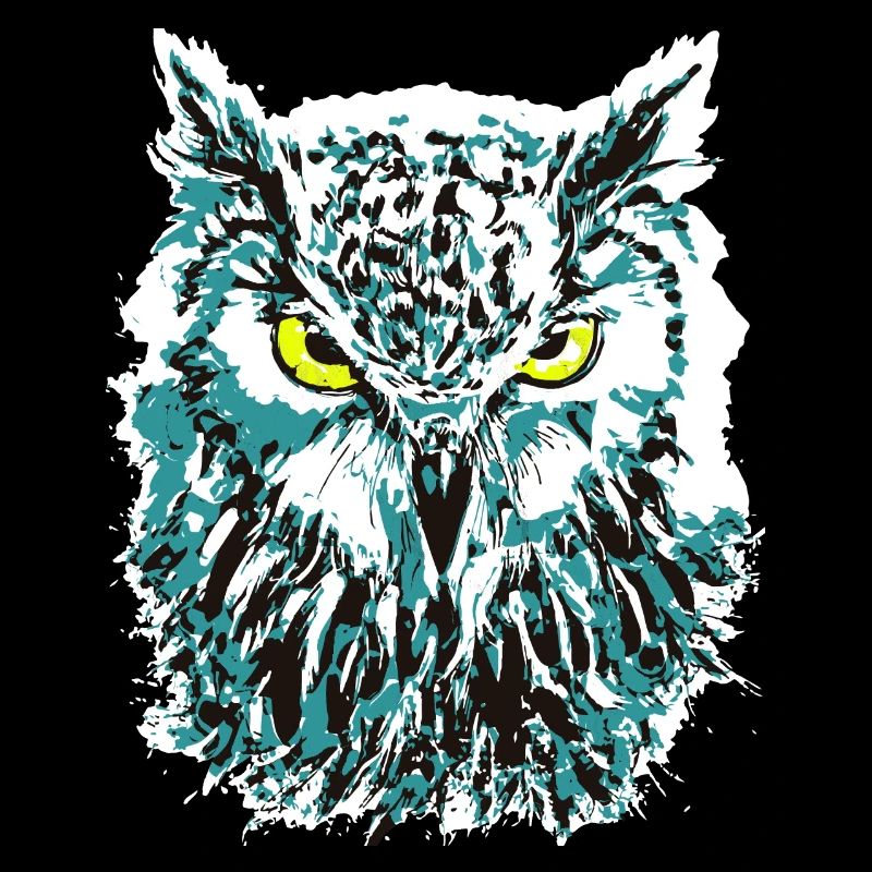 Bunte Eule - Eulenkopf - Kauz - Farbenfrohe Eule