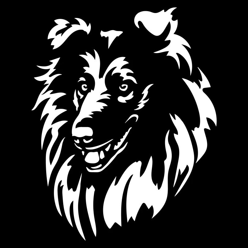Collie Kopf "Black Edition"