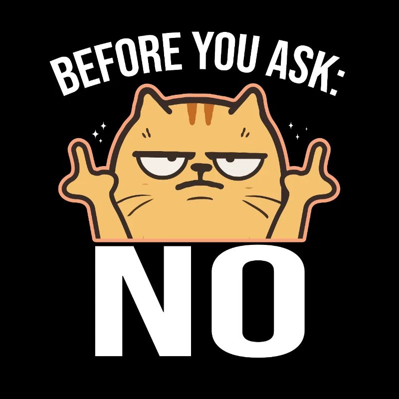 Chat effronté avec le majeur NON