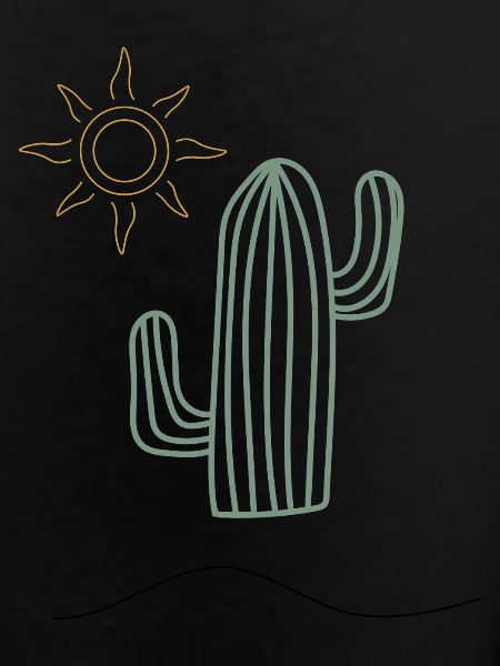 Cactus in sunlight