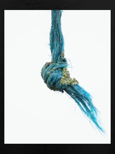 I'm a frayed knot
