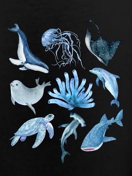 ocean animals