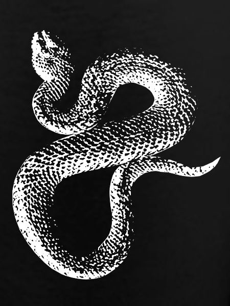 Snake 3.1