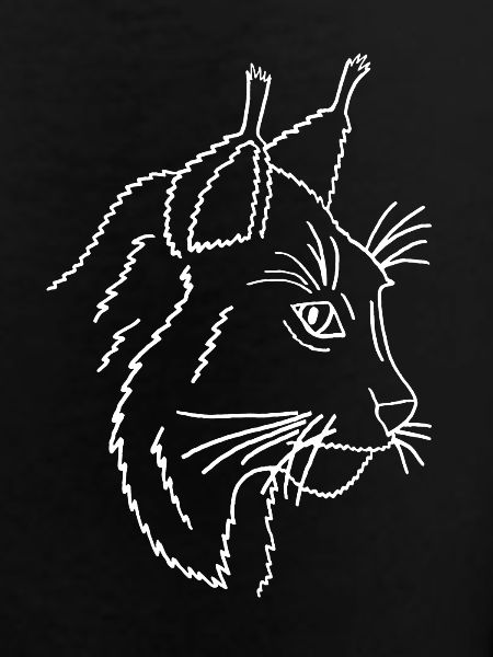 lynx