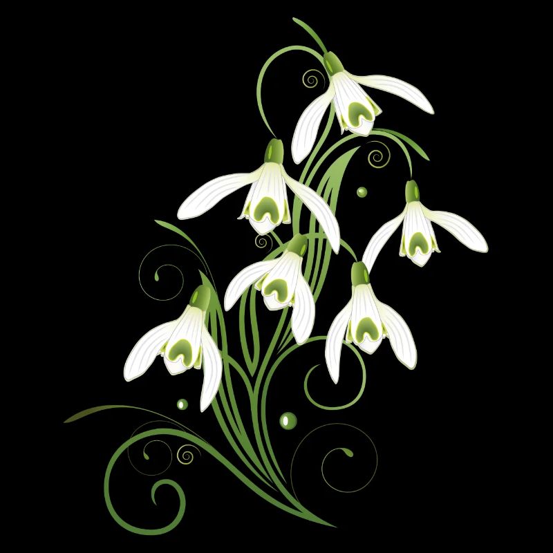 Fleurs de perce-neige. Le printemps arrive.