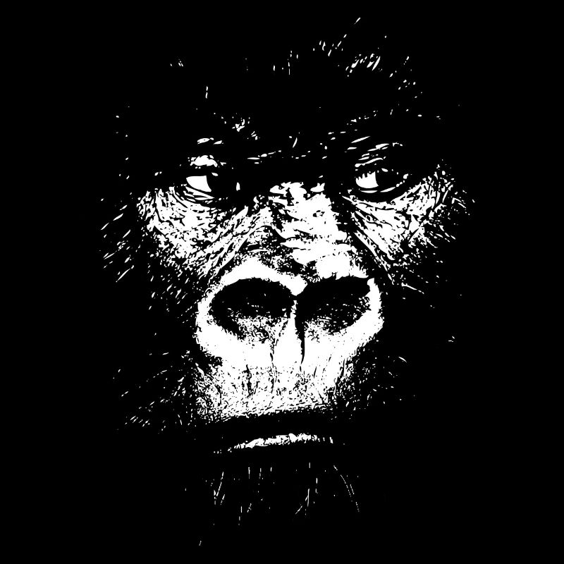 Expressionist Monkey Illustration, Gorilla