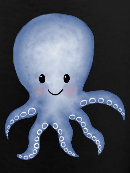 Octopus squid