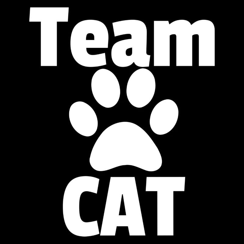 Equipe CAT