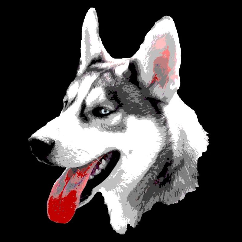 Husky Pop Art Kopf