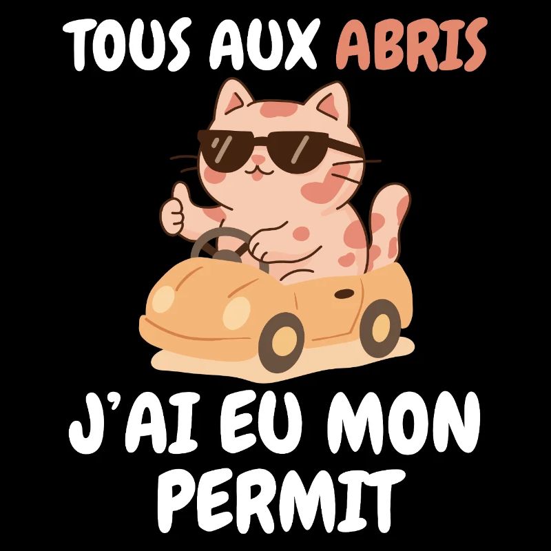 Tous aux abris chat j’ai eu mon permis