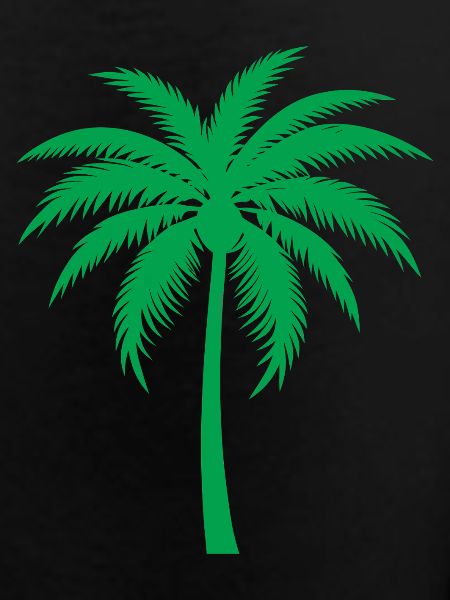 Palm tree