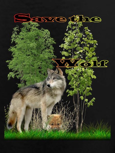 wolf 2