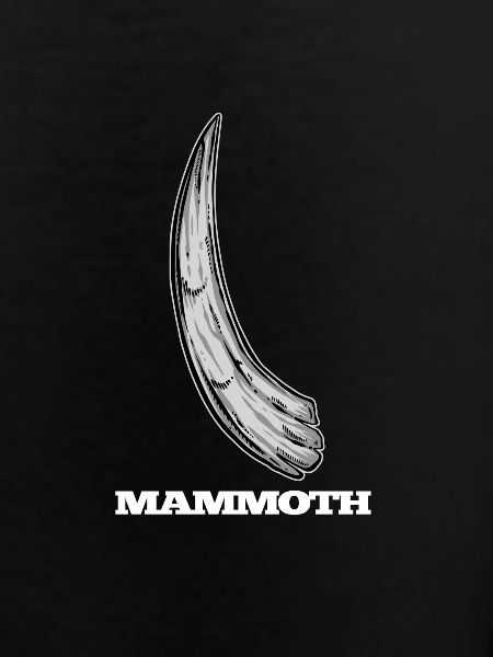 Mammoth ivory tusks