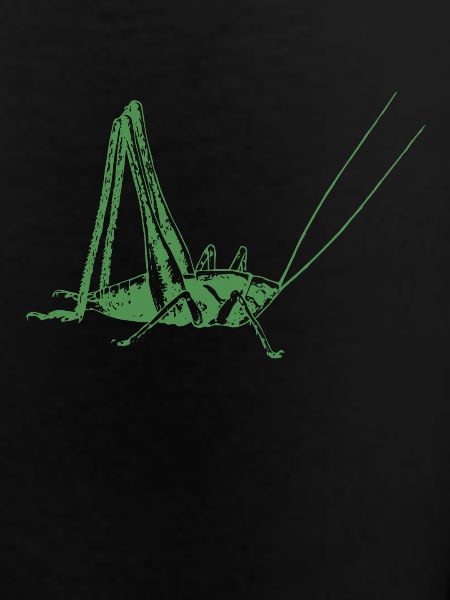 Grasshopper