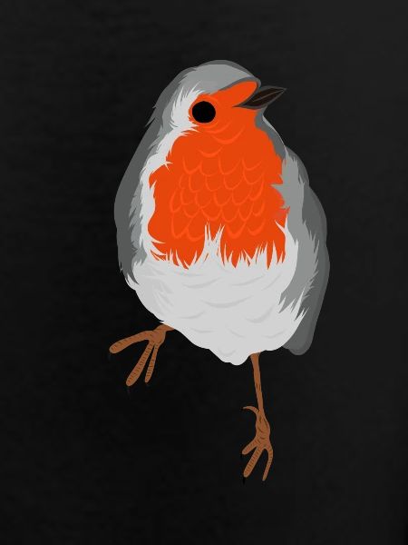 Robin
