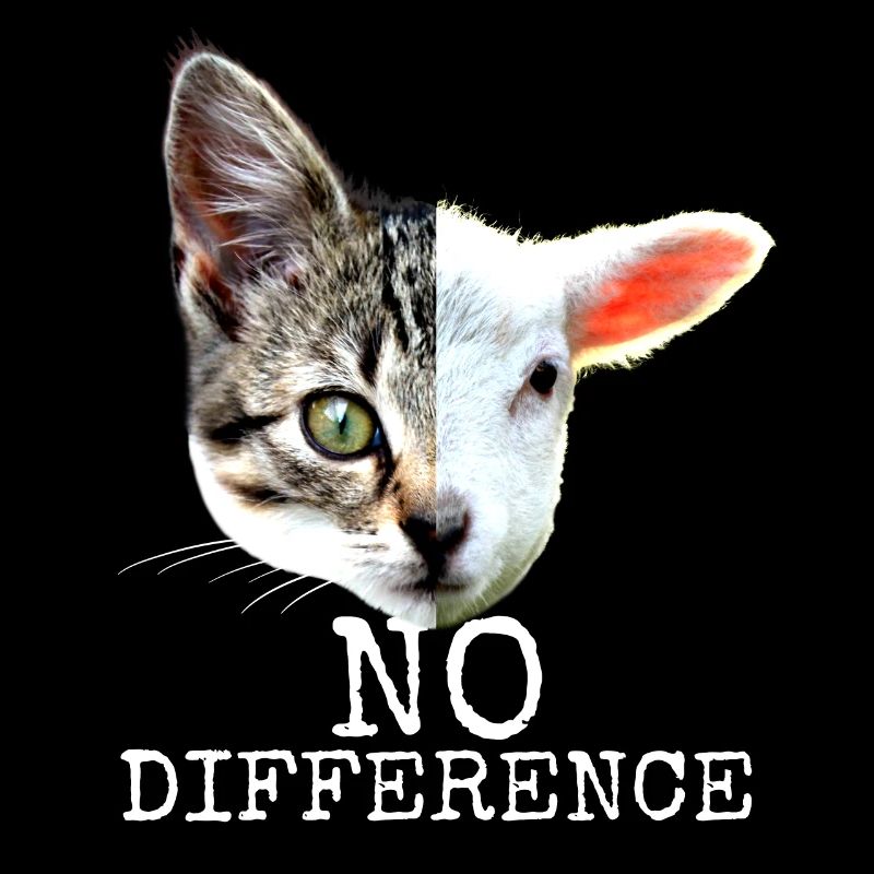 No Difference Pro Vegan Saying Vegetarian Cats