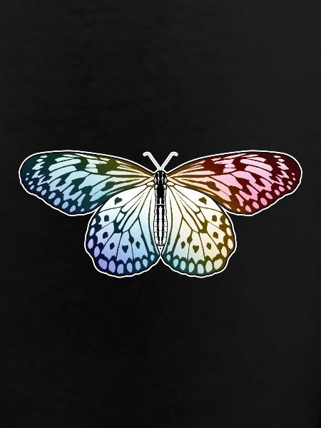 Butterfly Rainbow