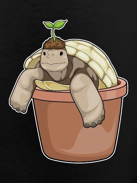 Turtle Seedling