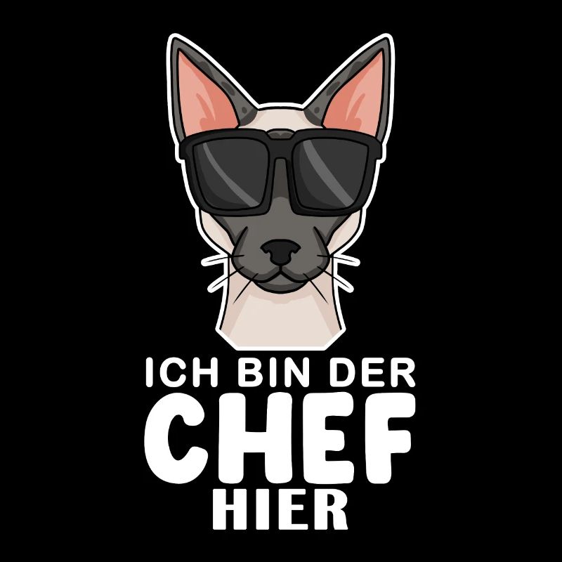 coole Katze - Siamkatze Spruch