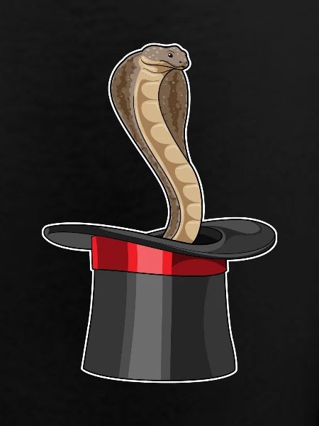 Snake Wizard Cylinder