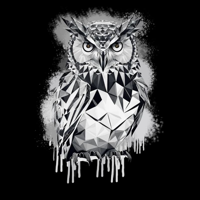 Geometric owl