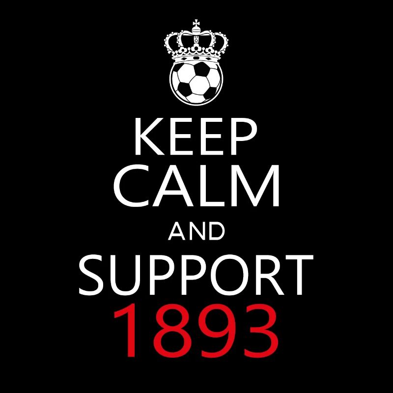 Support 1893