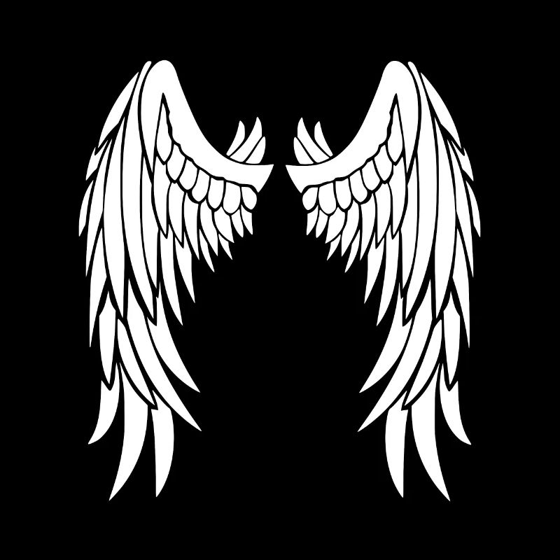 Ailes d’ange blanches sur le dos