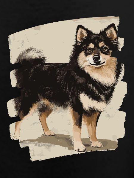 Finnish Lapphund