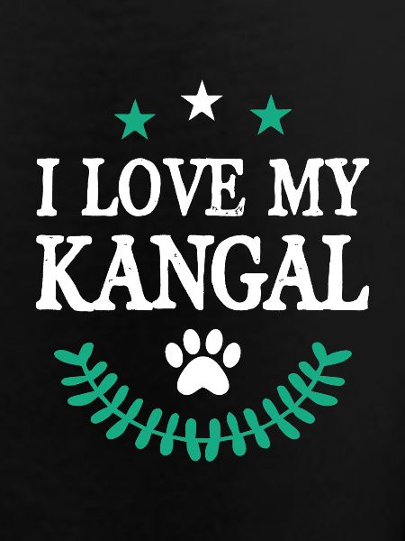 Kangal