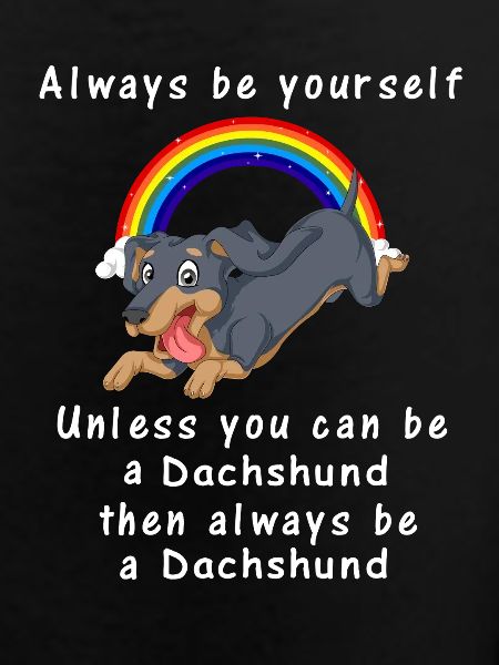 Dachshund