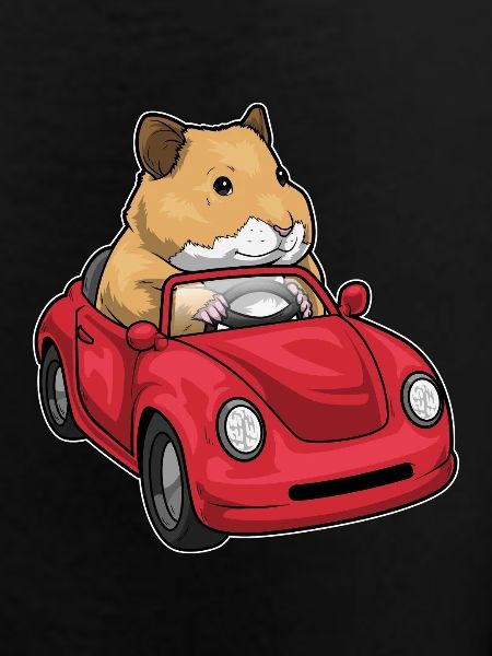 Hamster Car