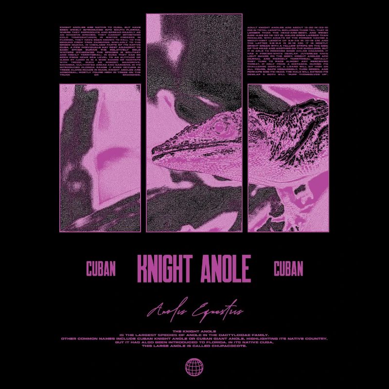 Cuban Knight Anole Lizard Owner Reptile Keeper