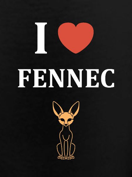 I like Fennec
