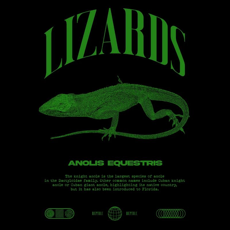 Kubanischer Ritter Anole Reptilienhalter Eidechse