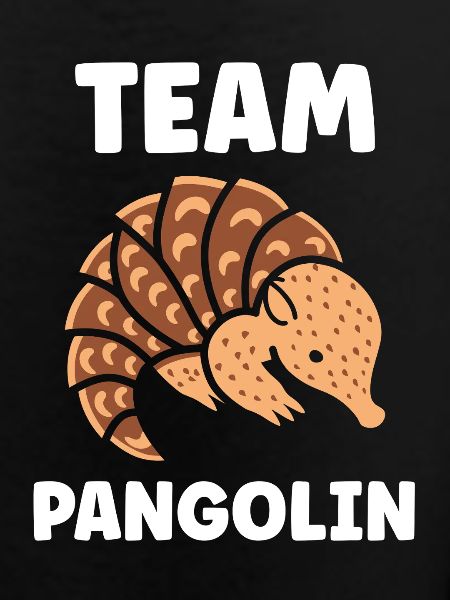 Pangolin Équipe Cartoon