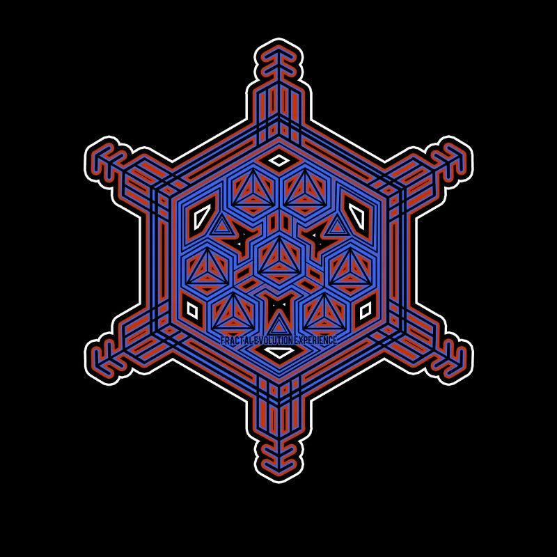 Fractal Evolution Experience Star Hexagon Pattern