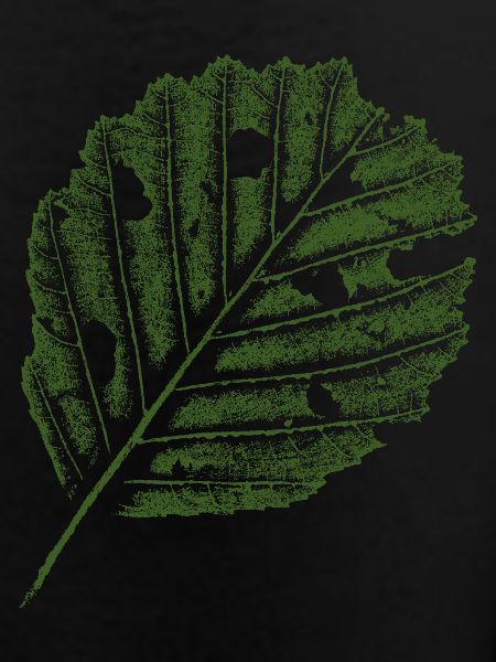Leaf Print - Alder