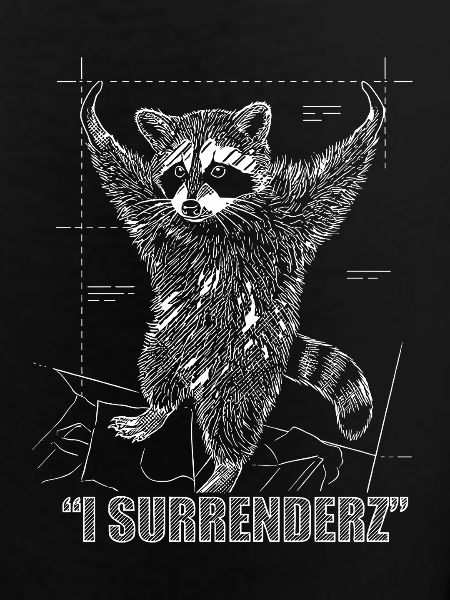 Raccoon Meme