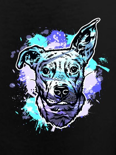 Beagle bull cross