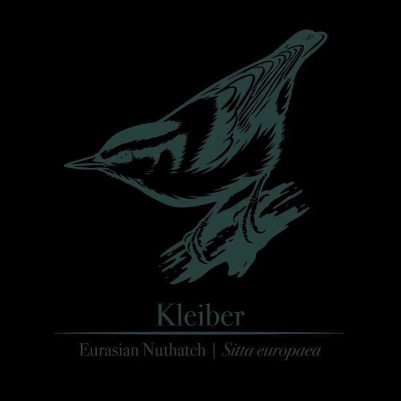 Nuthatch Silhouette | Ornithology | Drawing