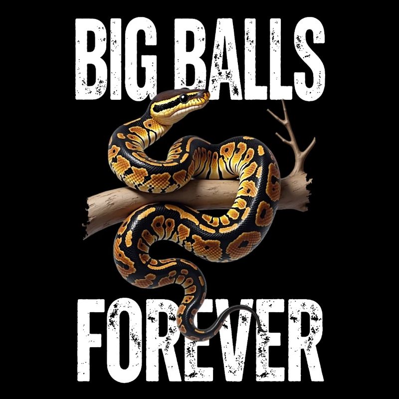 Python roi Serpents Amateurs de terrarium Python