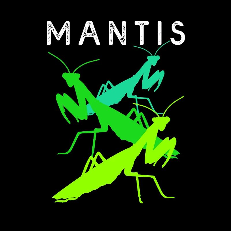 Gottesanbeter Gottesanbeterin Mantis