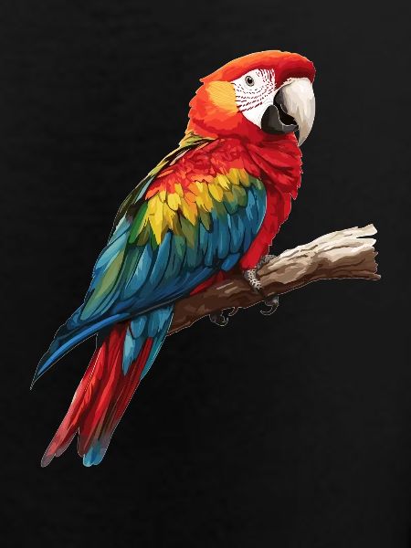 Macaw's Era