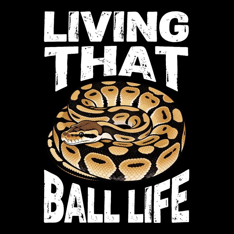 King Python Snakes Lover Terrarium Python