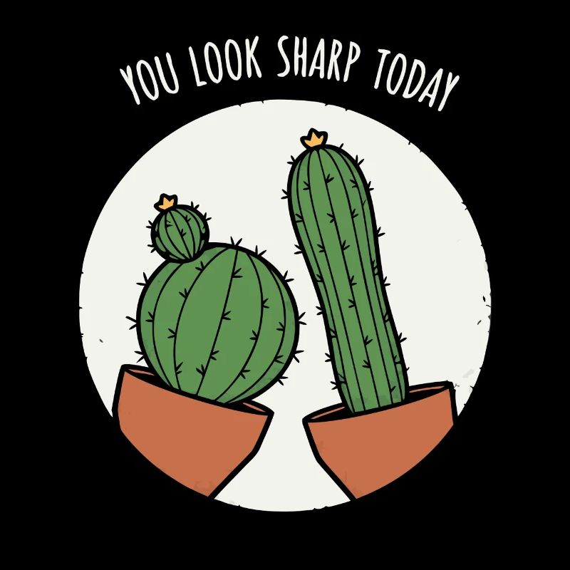 Jeux de mots sur les cactus
