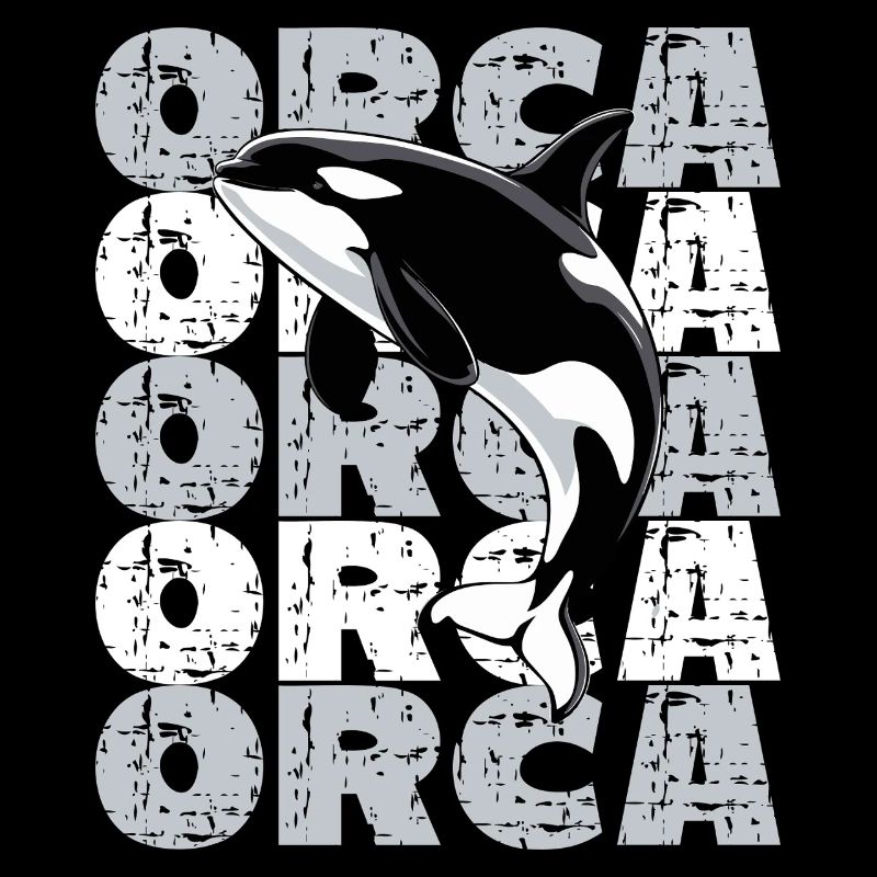  Orca Killerwal Ocean Meer Meeresleben Orca