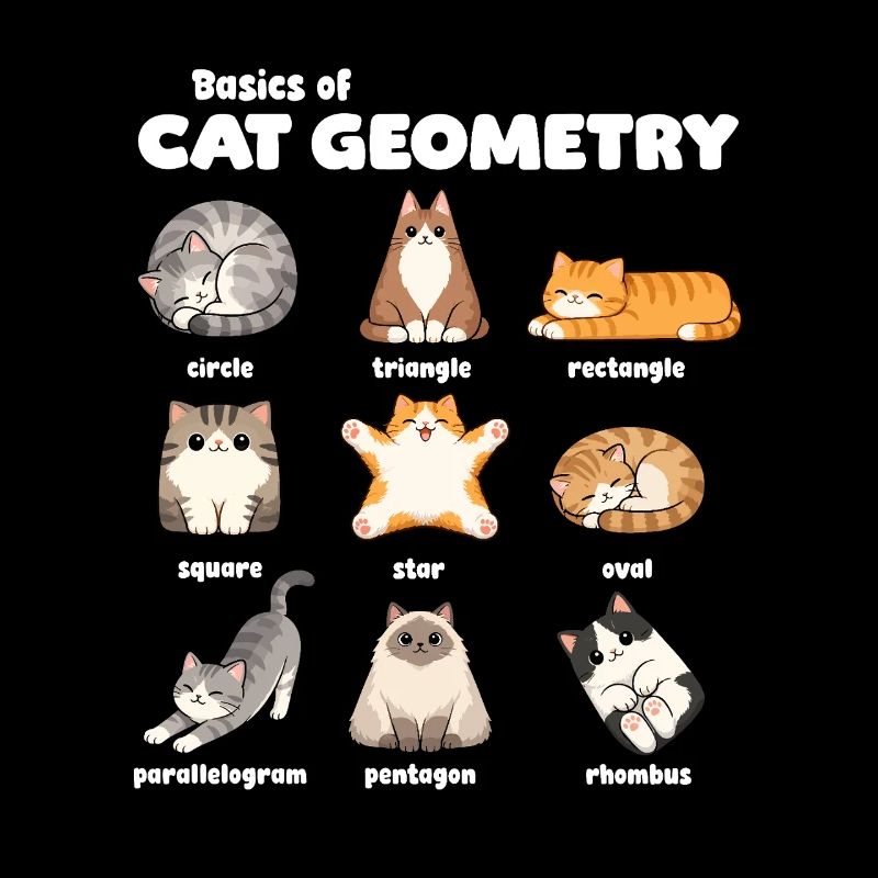 Basics of Cat Geometry Fun Math
