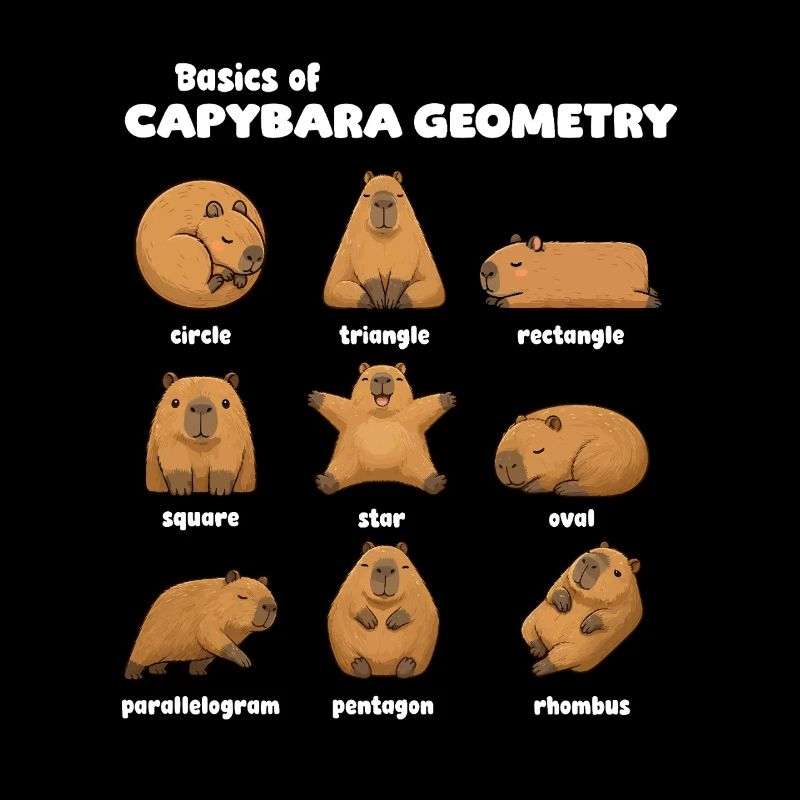 Bases de la géométrie de capybara Funnier