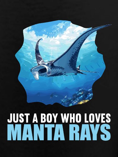 Rays Manta Rays