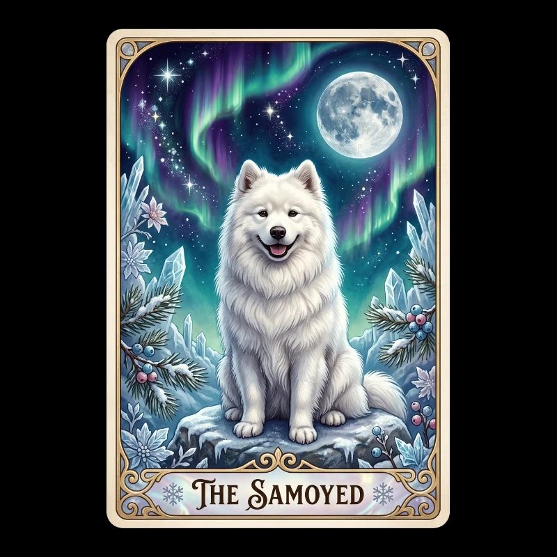 Samoyeds under the Northern Lights